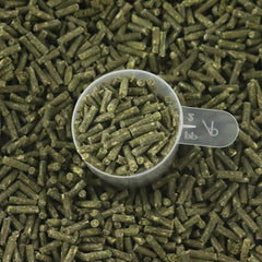 Missy's Bucket Gut-Plus Pellets