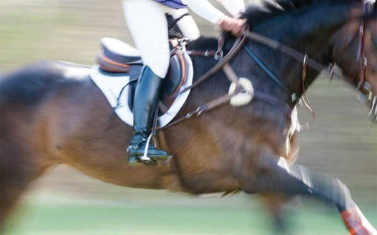 So You Think Your Horse Has Ulcers?-Missy's Bucket