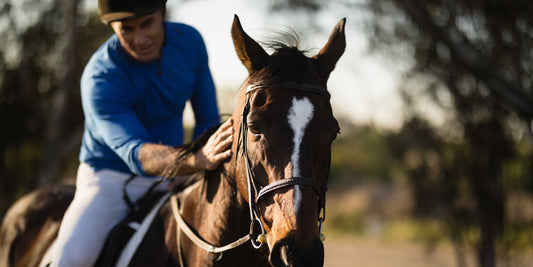 Is Your Horse's Summer Coat Here Yet?