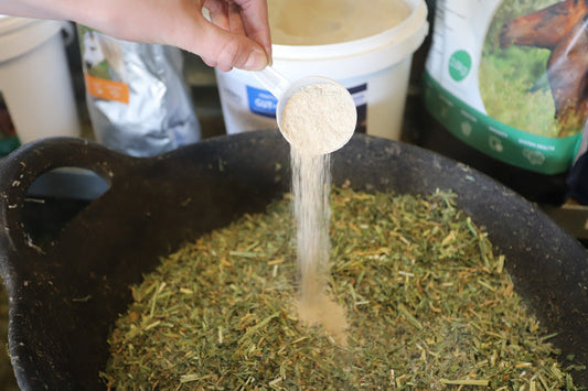 Potency Matters: Why Many Horse Supplements Don’t Work (and What to Look For)