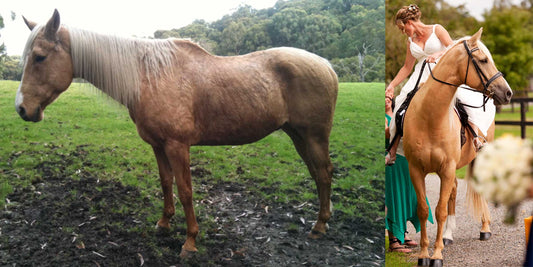 Missy's Bucket Case Study: Sandy