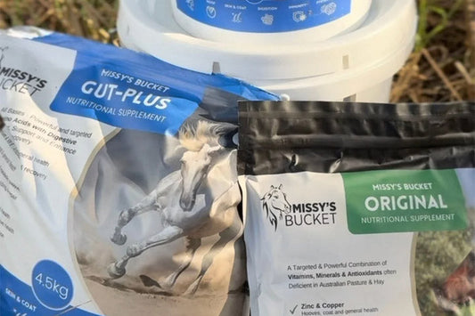 how to introduce a new supplement to your horse