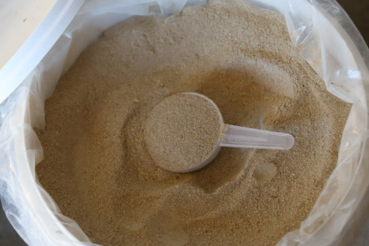 Why mineral ratios in horse supplements matter more than you think