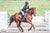 Feeding the Off the Track Thoroughbred OTT